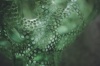Sans_titre_2007_04341WOL_detail1.JPG, nov. 2016 Sans_titre_2007_04341WOL_detail1.JPG